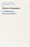 La littérature, pour quoi faire ?