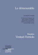 Le démesurable