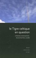 Le Tigre celtique en question.