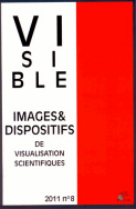 Visible, n° 8/2011