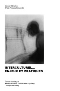 Interculturel... Enjeux et pratiques