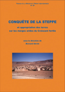 Conquête de la steppe