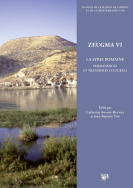 Zeugma VI