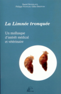 La Limnée tronquée