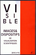 Visible, n° 6/2010