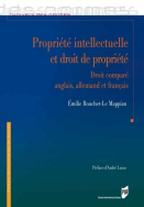 Propriété intellectuelle et droit de propriété