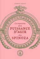 Les expressions de la puissance d'agir chez Spinoza