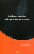 L'intelligence énergétique : quels regards des sciences sociales?