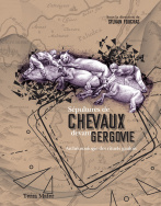 Sépultures de chevaux devant Gergovie